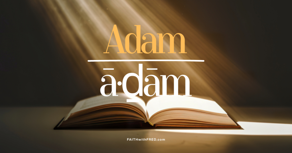 Adam or a-dam